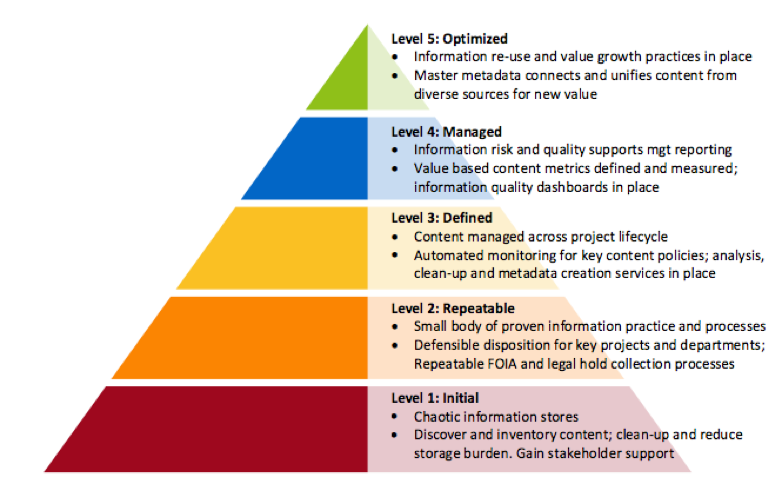 IG Maturity Model